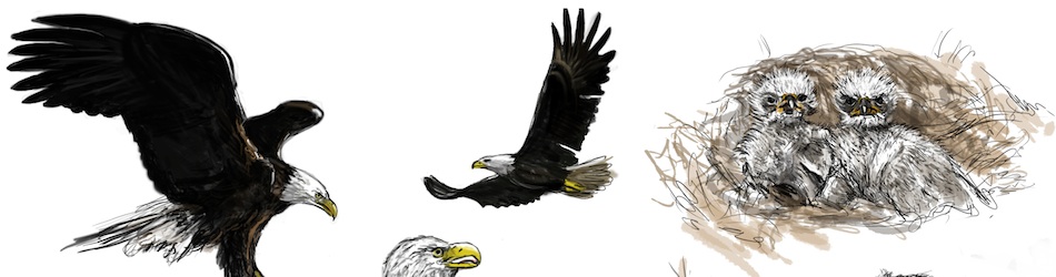 المنتجات - Header 7