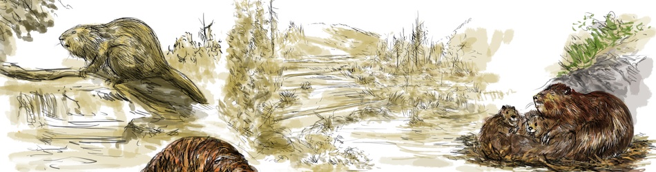Przedsiębiorstwo - Header 3