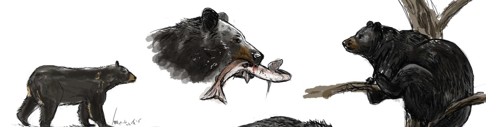 Przedsiębiorstwo - Header 4