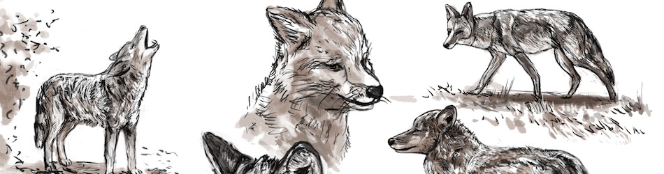 Przedsiębiorstwo - Header 9